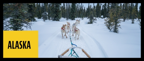 Dog sledding tours in Alaska